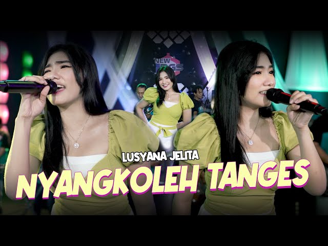 Lusyana Jelita - Nyangkoleh Tangis (Official Live Music) class=