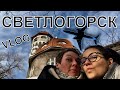 Светлогорск | Пентхаус с видом на море | Влог | ЛГБТ пара