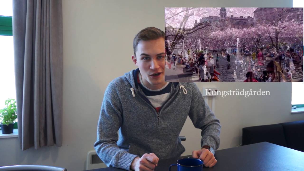 Learn Swedish, Lesson 8: Personal Pronouns