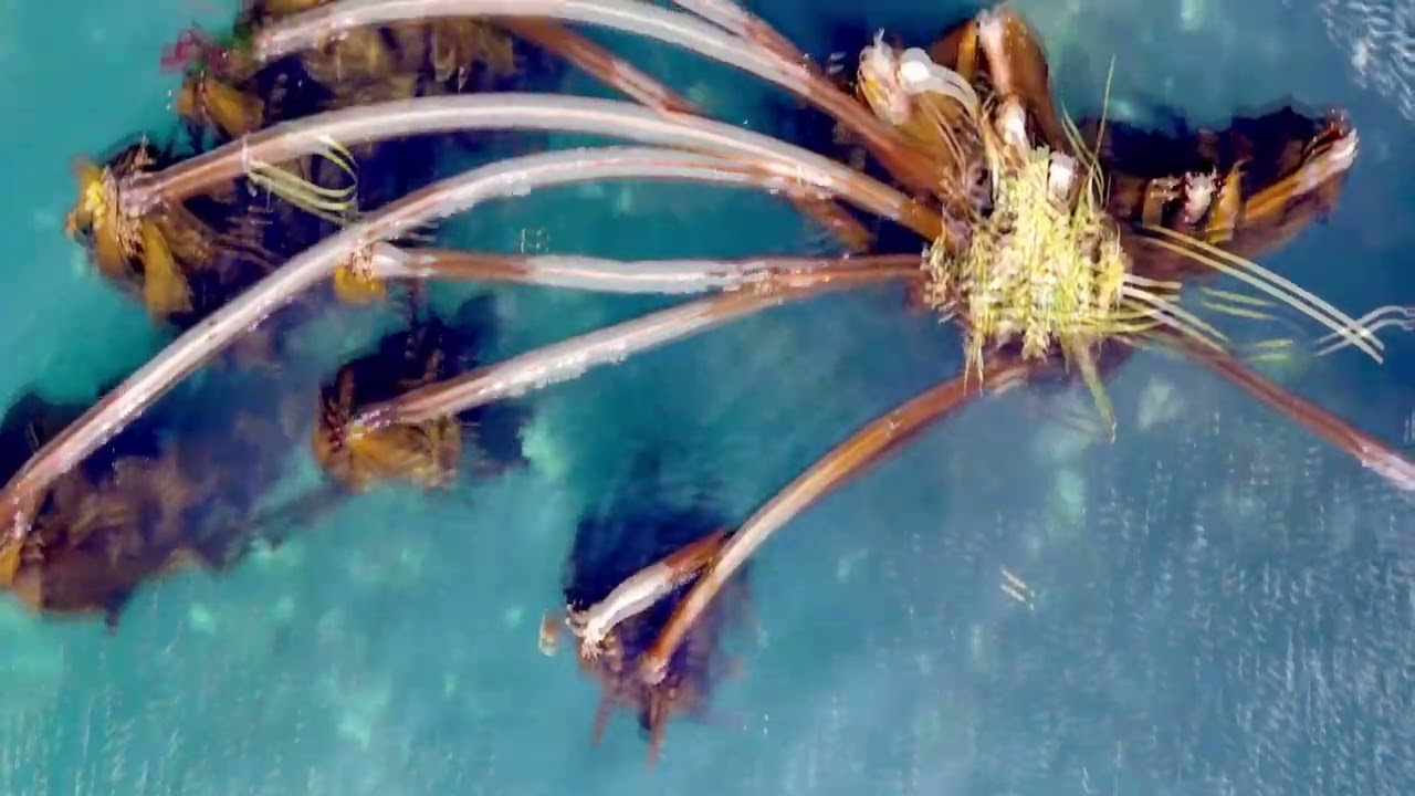 Westside Eagle Point Overview