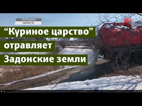 "Куриное царство" отравляет земли Задонского района