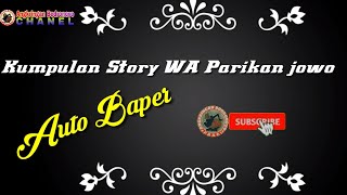 AUTO BAPER|| Kumpulan Story WA Parikan Jowo.