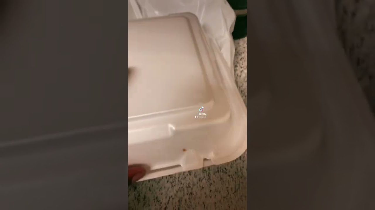 Why you do me like that taco casa ￼