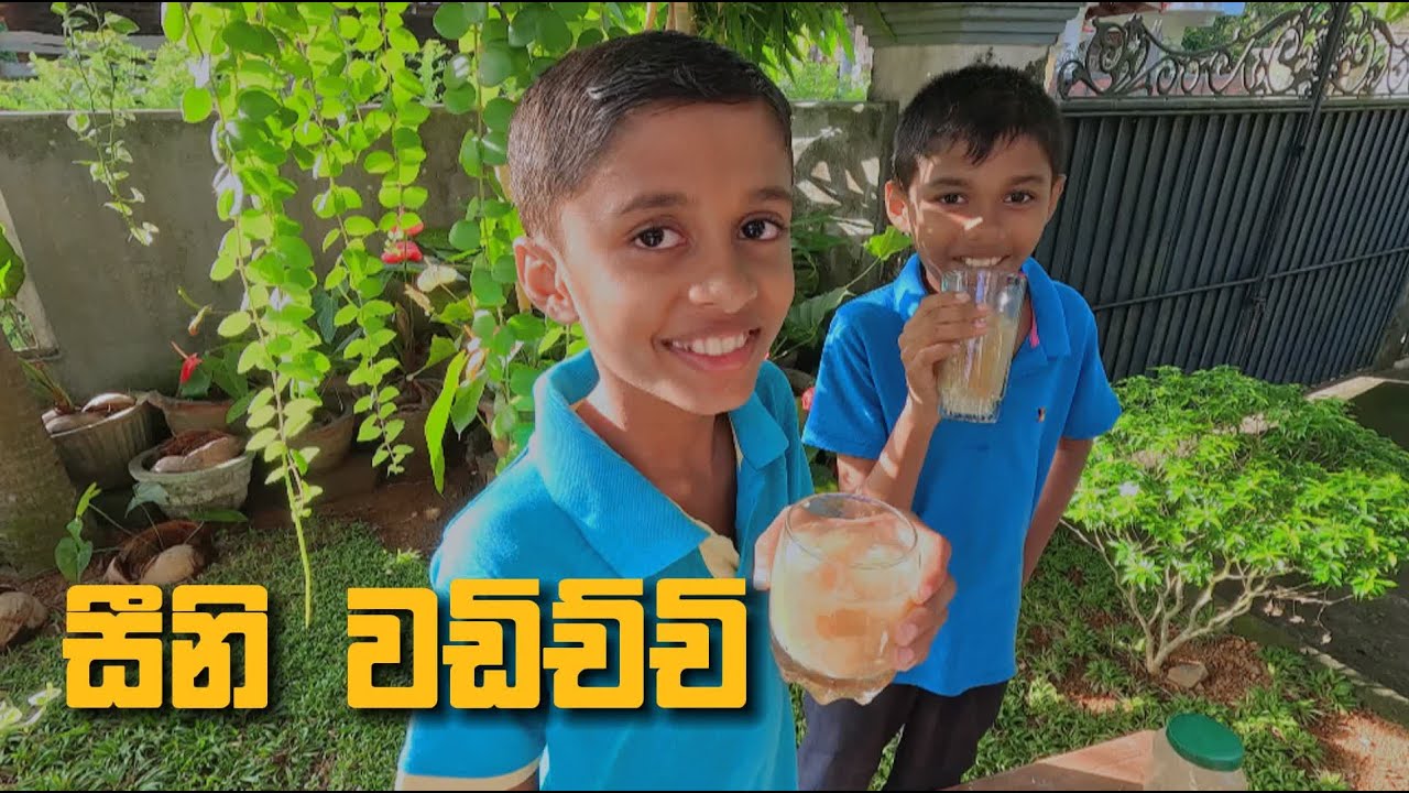 පොලයක් නිසා වෙච්ච දෙයක් | Something that happened because of a coconut 