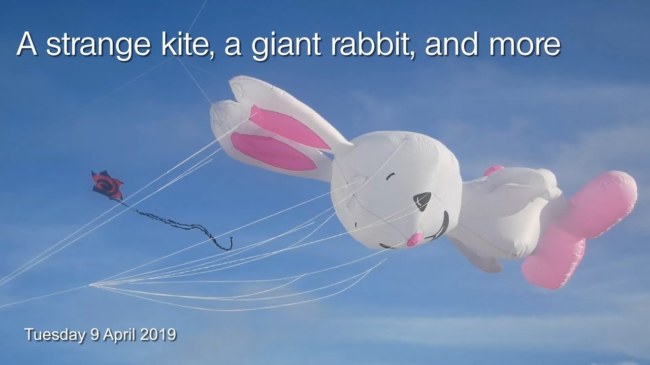 Big Rabbit Kite A strange kite, a giant rabbit, and more - YouTube