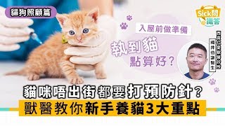 【Sick問識答】貓咪唔出街都要打預防針 獸醫教你新手養貓3大重點