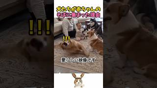 赤ちゃんのそばにみんな集まった理由