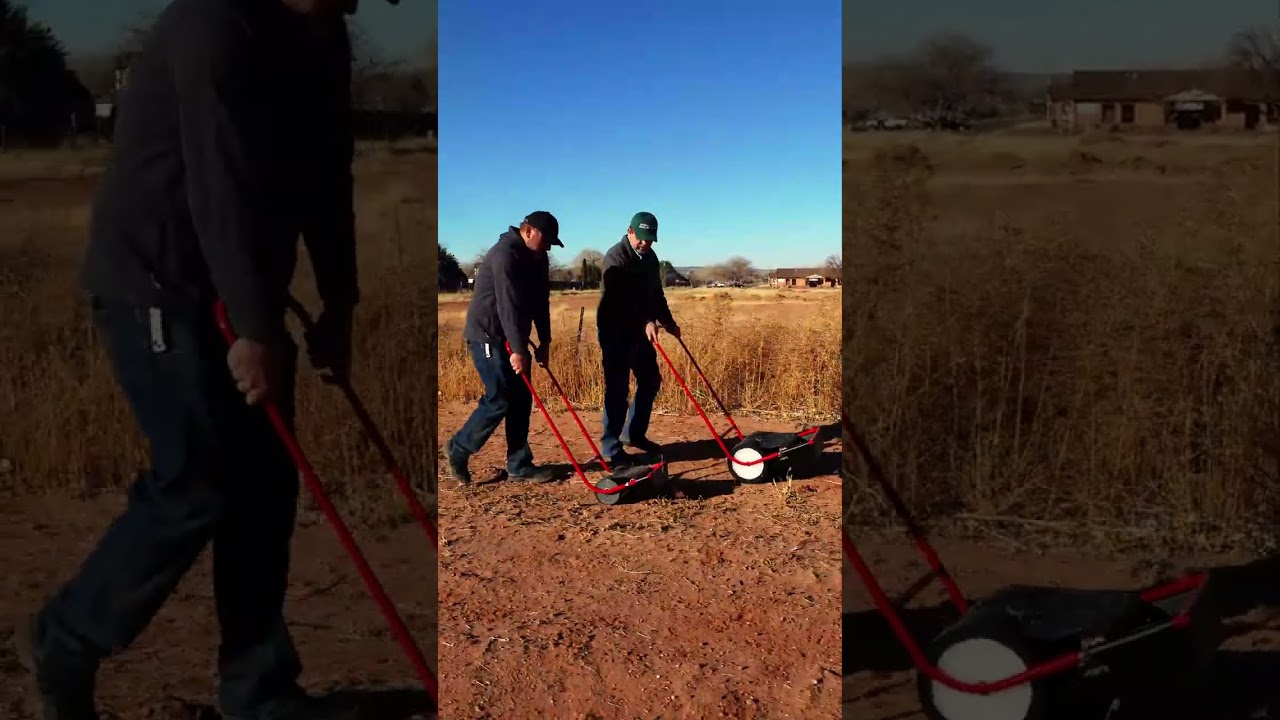 Remove Sticker Burrs Effortlessly – Protect Your Pup’s Paws 