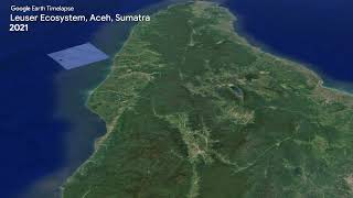 Leuser Ecosystem, Aceh, Sumatra - Earth Timelapse