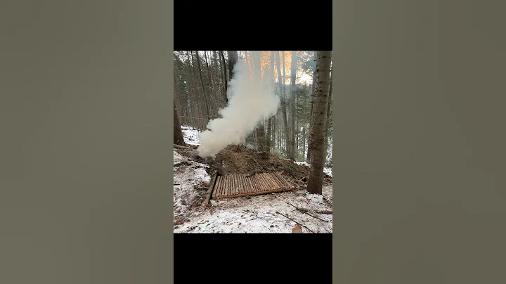 Building Underground Bushcraft Shelter for Survival FULL VIDEO ON MY CHANNEL #bushcraft #survival