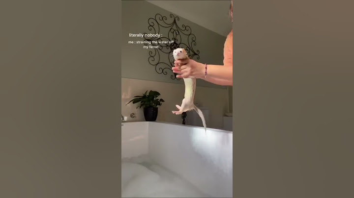 how to get free Ferret slap Bracelet