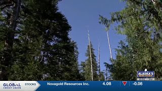 Alaska’s ‘Roadless Rule’ targeted by Trump administration for second time