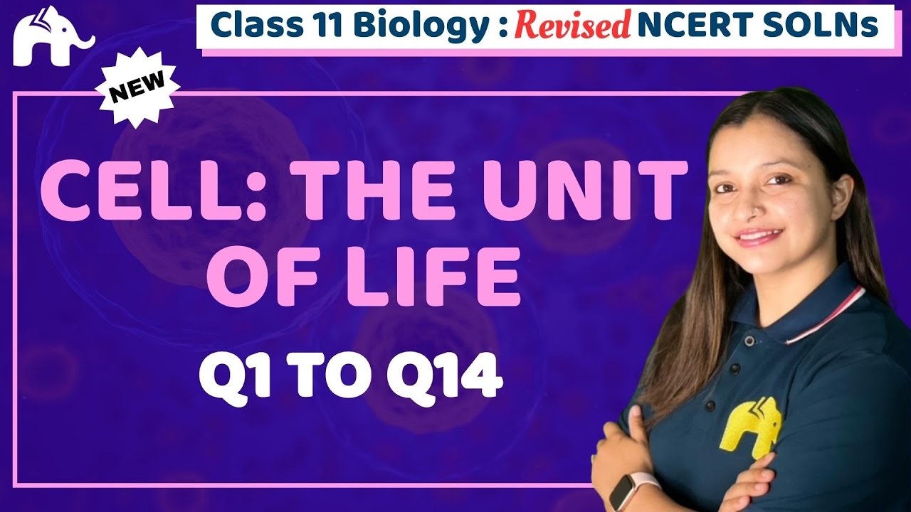 Cell: The Unit of Life Class 11 Biology | Revised NCERT Solutions ...