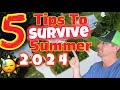 Start now 5 tips to survive summer heat in your lawn