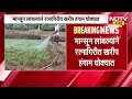 Monsoon Delayed In Maharashtra | मान्सून लांबला, खरीप हंगाम धोक्यात, तळकोकणात दुबार पेरणीचं संकट