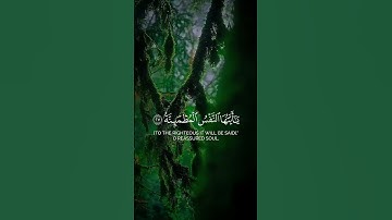 قران كريم quran #راحة_نفسية #تلاوات_خاشعة #quran #قران_كريم #ذكر #اجر #islam #سبحان_الله #viral