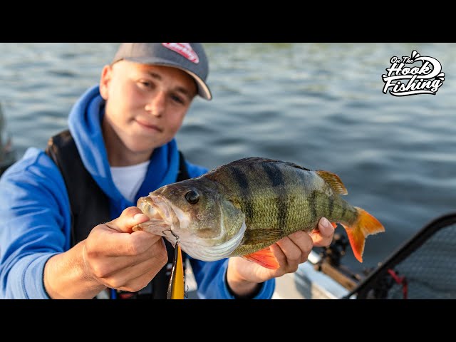 Catching BIG PERCH on Jerkbaits!!! 