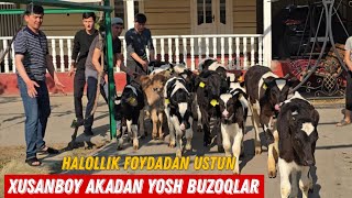Yosh Buzoqlarchalar Xusan Epchil Akamiz Jangda +998 94 744 03 00  
