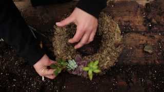 How to Create a Living Wreath With Succulents!