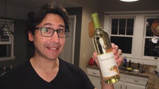 [YTP: SHORTS] ADAM RAGUSEA HATES WHiTE WiNE?!?!?!