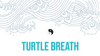 Turtle Breath | Chi Kung & Tai Chi
