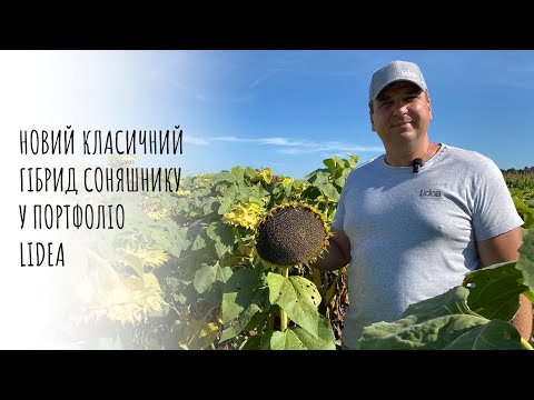 🌻ЕС Агора -