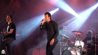 Download Lagu Flitter (Aceite Tóxico) MP3