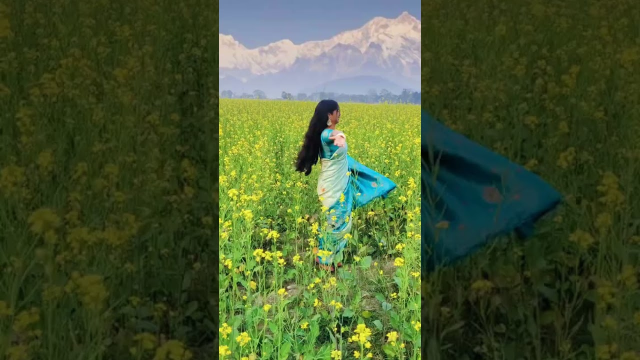 Photography in Mustard field | Sarso da khet