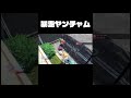 暴走したヤンチャムが面白すぎたw #switch #ポケモン #おもしろ #実況