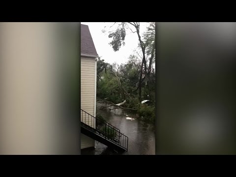 Standing water and downd trees surround Panama City apartment building