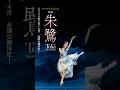 舞劇Dance Drama 「朱鷺」2025年2〜4月 全国ツアー