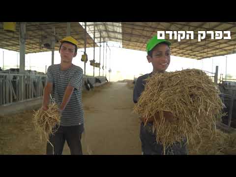 סרטים חרדים לילדים סודות המושבה עונה 1 פרק 2 