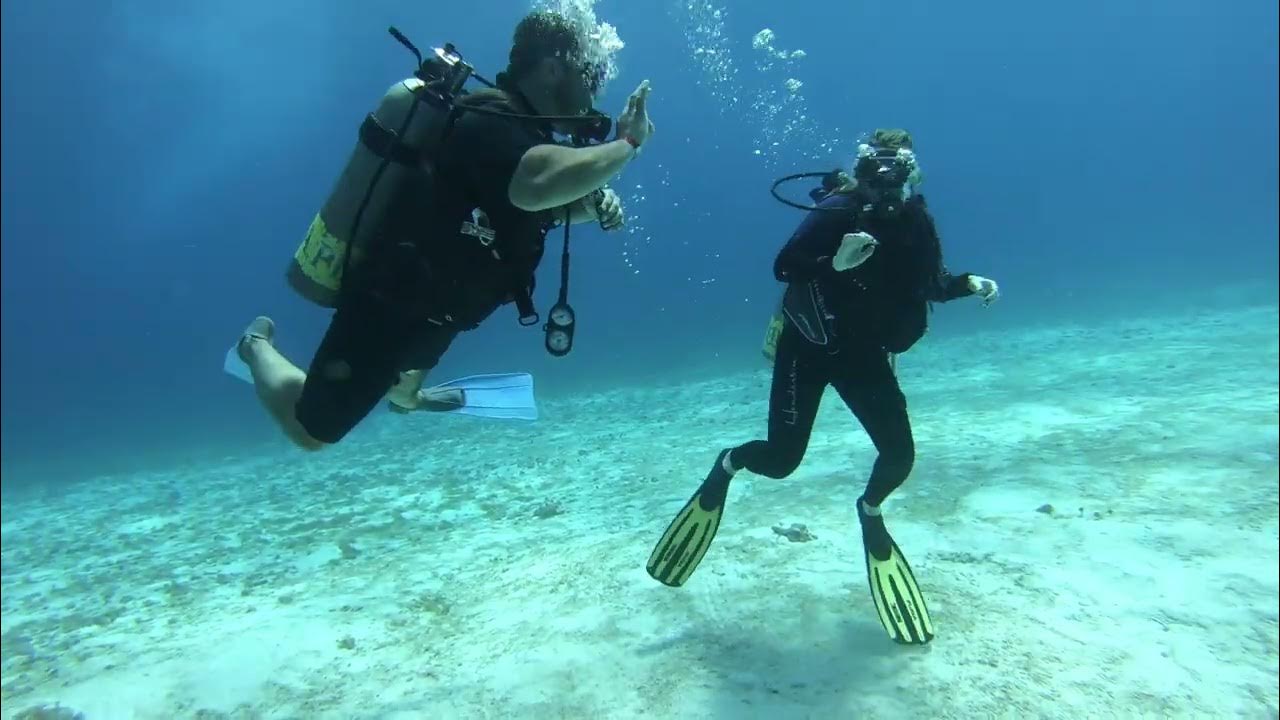 Cozumel Diving 02 25 2025 YouTube