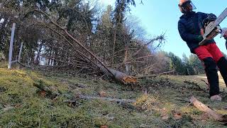 Motorsäge Stihl Ms-260