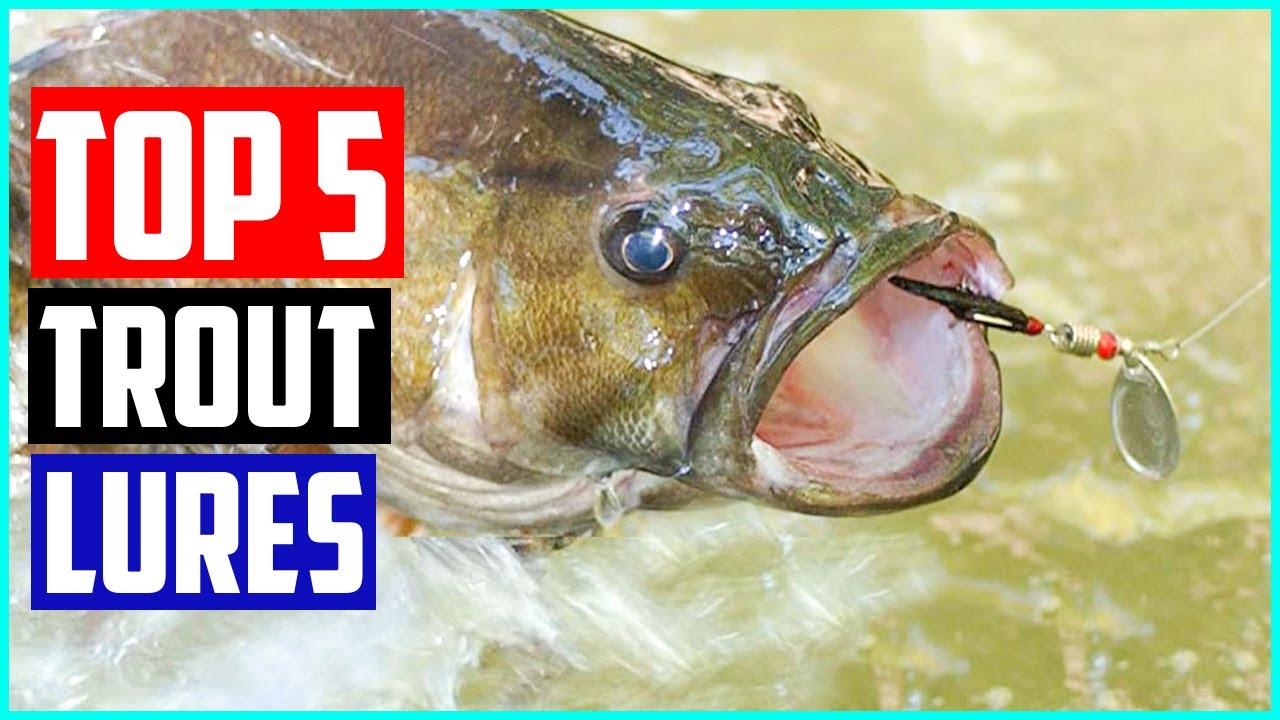 Best Trout Lures In 2021 Top 5 picks! 