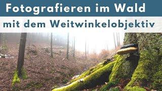 Weitwinkelobjektiv im Wald: Was mir beim Fotografieren wichtig ist.