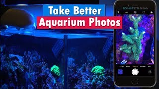 How To : Reef Aquarium Photography - Cell Phone &  Iphone coral photography filters and gels screenshot 5