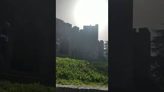 VID 20220429 100813