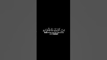 ما تيسر من سورة العنكبوت | القرآن الكريم | القارئ إسلام صبحي | كروما