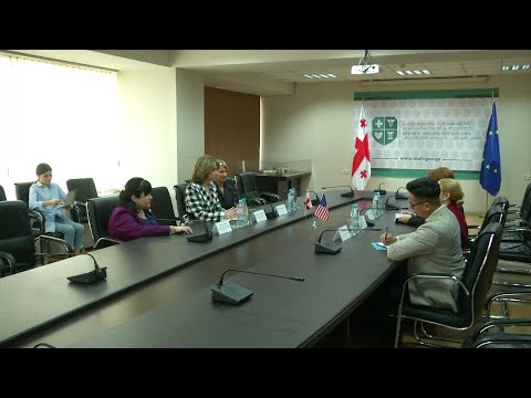 ჯანდაცვის მინისტრი ამერიკის ელჩს შეხვდა