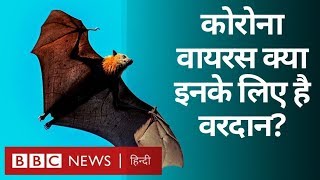 Corona Virus के बढ़ते ख़तरे से किसे फ़ायदा हो सकता है? (BBC Hindi)