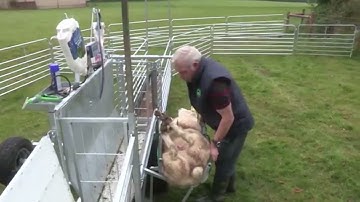 Shepherdsmate Rollover