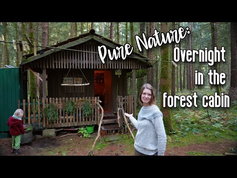 🌲🍄 Night in the wilderness: Overnight stay in the off-the-grid forest cabin 🦊🏕️