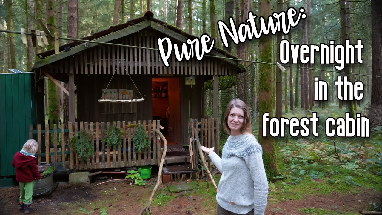 🌲🍄 Ночь в дикой природе: ночевка в удаленной от цивилизации лесной хижине 🦊🏕️