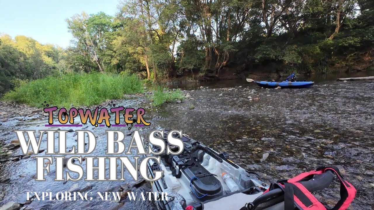 WILD BASS FISHING ! EXPLORING NEW WATER…