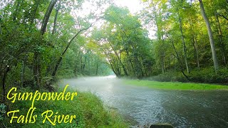 GUNPOWDER FALLS - Northern Maryland's Wild Brown Trout