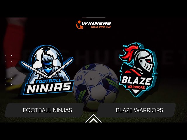 Winners Goal Pro Cup. Football Ninjas - Blaze Warriors 14.05.24. First Group Stage. Group B class=