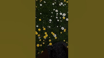 #explore #استغفر_الله #quran #حالات_واتساب #قران #تلاوة #قران_بصوت_جميل #سبحان_الله #اسلام_صبحى