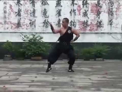 Black Tiger Nanquan 9