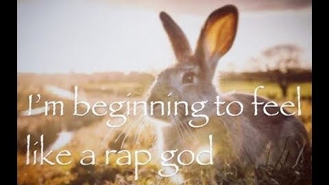 Shitpost Status Compilation (Season 3 Episode 22)